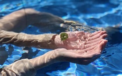 日产乱码一卡二卡3卡4视频免费